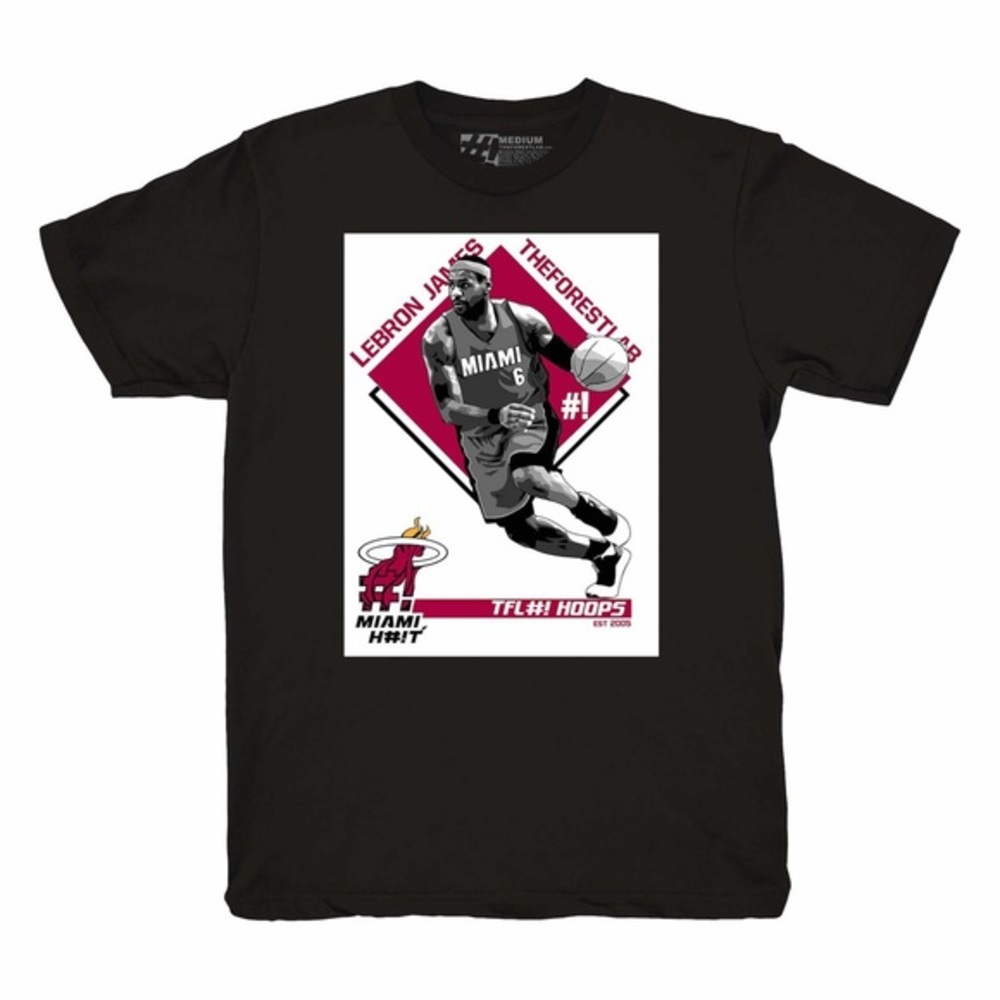 King James Miami Heat Lebron James